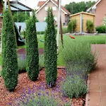 Landbrise Casa vacanze Petersfeld