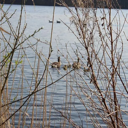 Vakantiehuis Landbrise Petersfeld