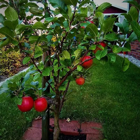 Landbrise Vakantiehuis